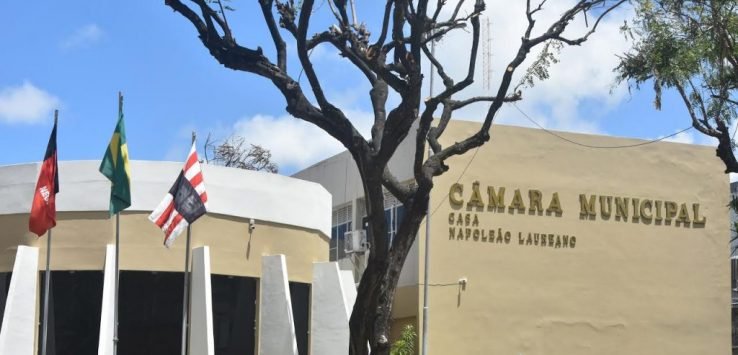 camara-2-1024x682-1-738x355