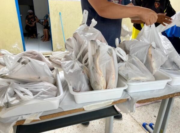 pascoa-pedra-599x445