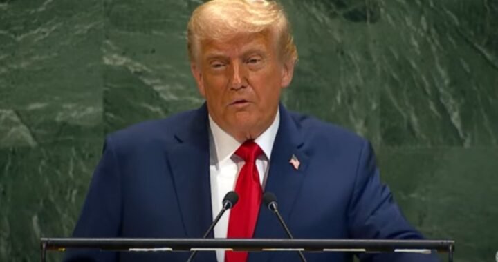 c6fmjpoqzmg288vdcp9k85adg