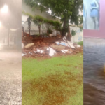 POST-MATERIA-PORTAL-2026-02-12T100728.924