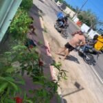 127fb990-7527-46a5-ac68-cf8292b9b0ff-349x465