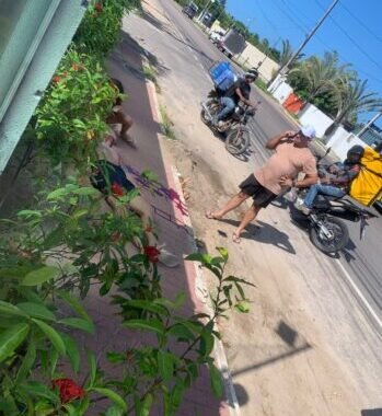 127fb990-7527-46a5-ac68-cf8292b9b0ff-349x465