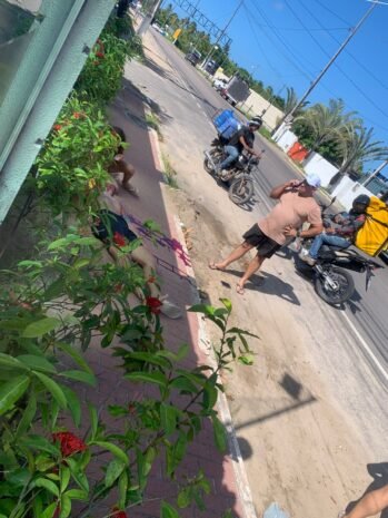 127fb990-7527-46a5-ac68-cf8292b9b0ff-349x465