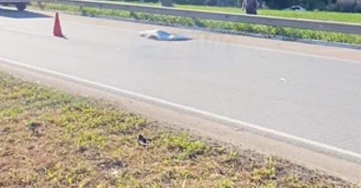 Sem-titulo-2-750x375