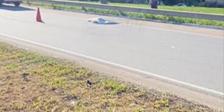 Sem-titulo-2-750x375